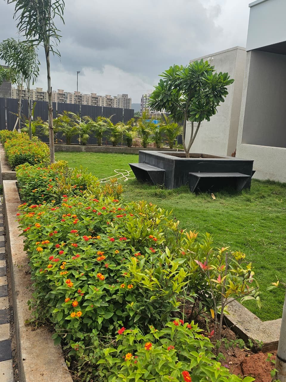 Kohinoor Lantana gallery view 13