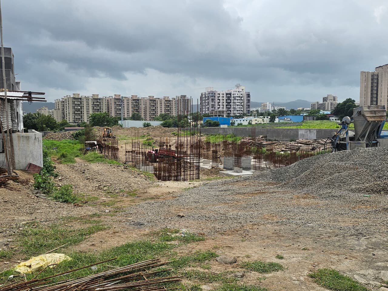 Kohinoor Lantana gallery view 2